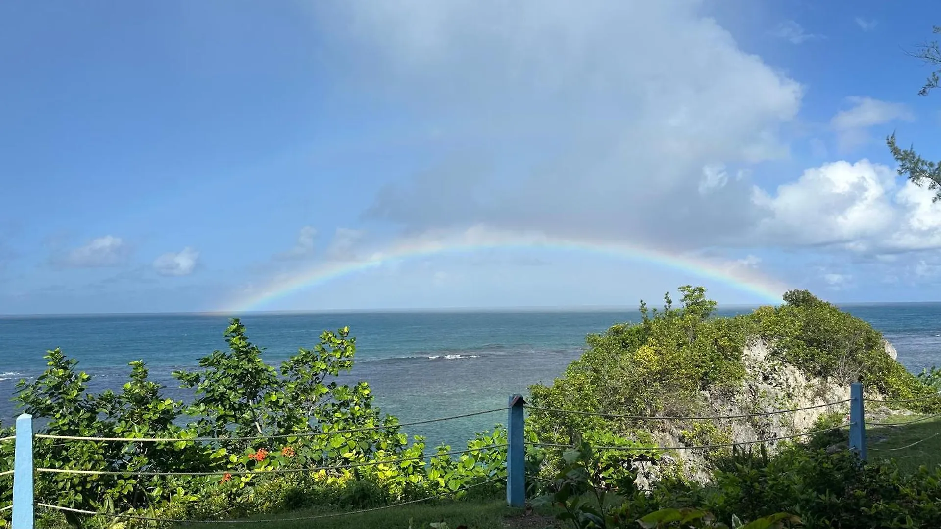 Munzels Ocean View Retreat 2 Lejlighed Ocho Rios